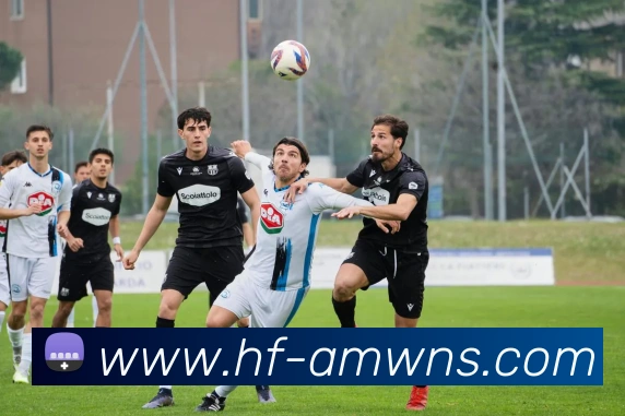 威尼斯人官网服务体系